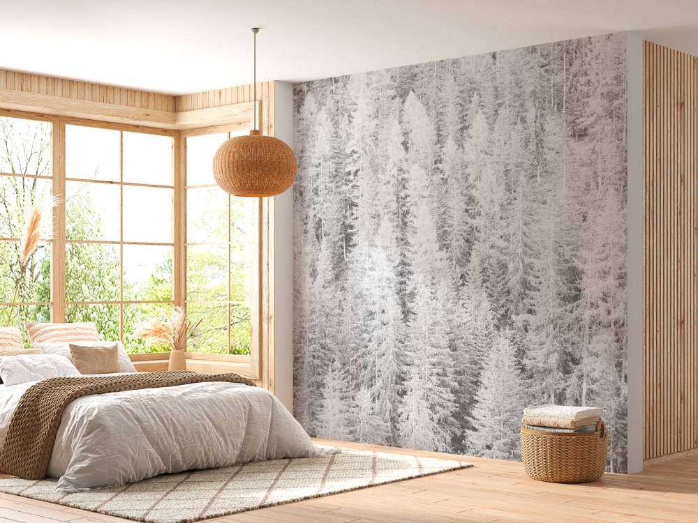 Conifere in bianco e nero