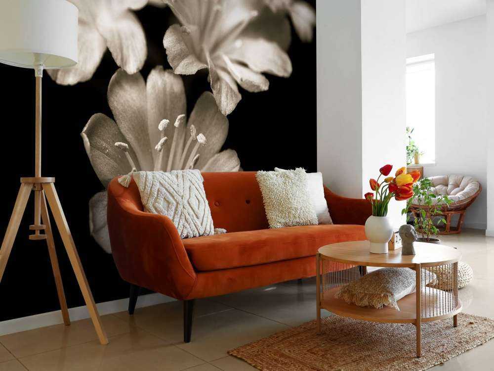 Primo piano del fiore di Lewisia