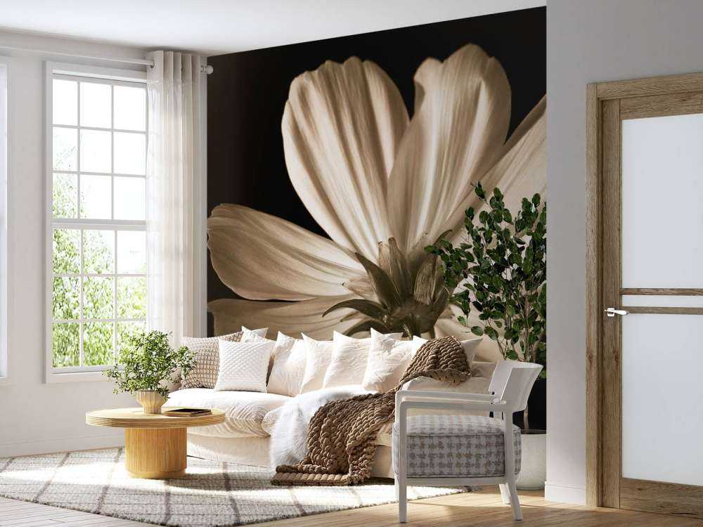 Fiore di cosmo dal basso