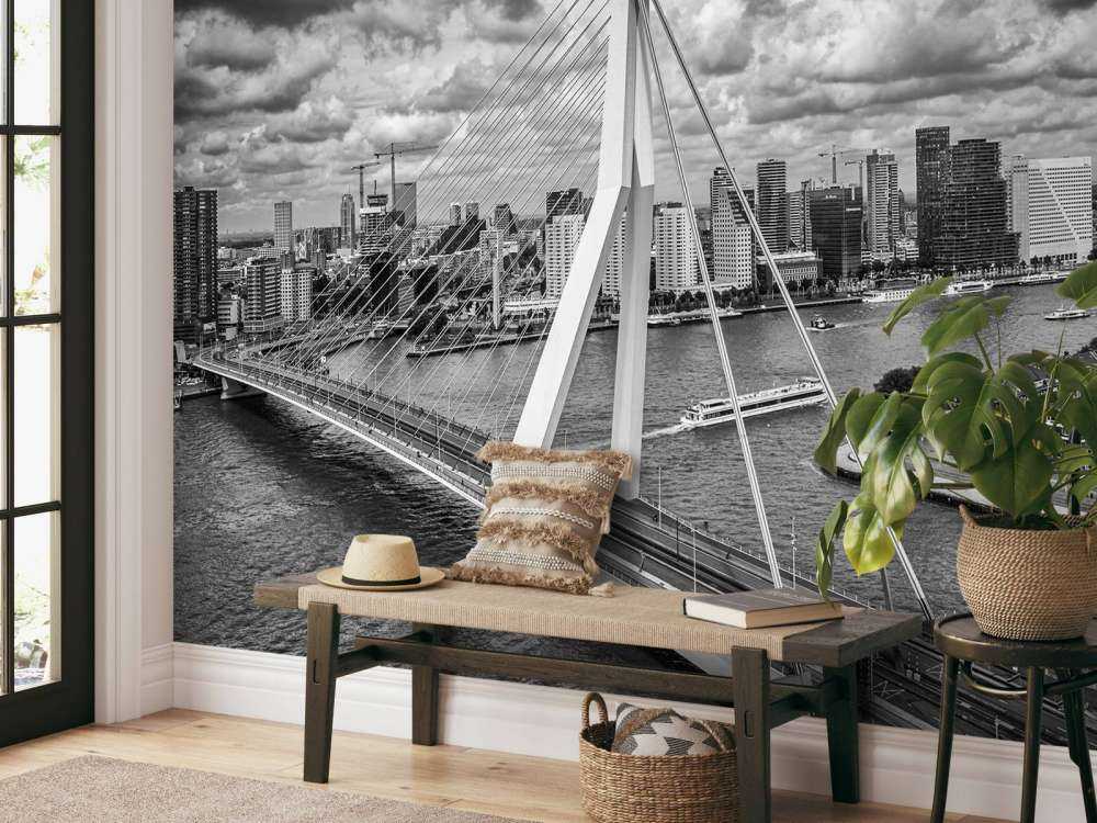 Il centro di Rotterdam da una grande altezza in bianco e nero