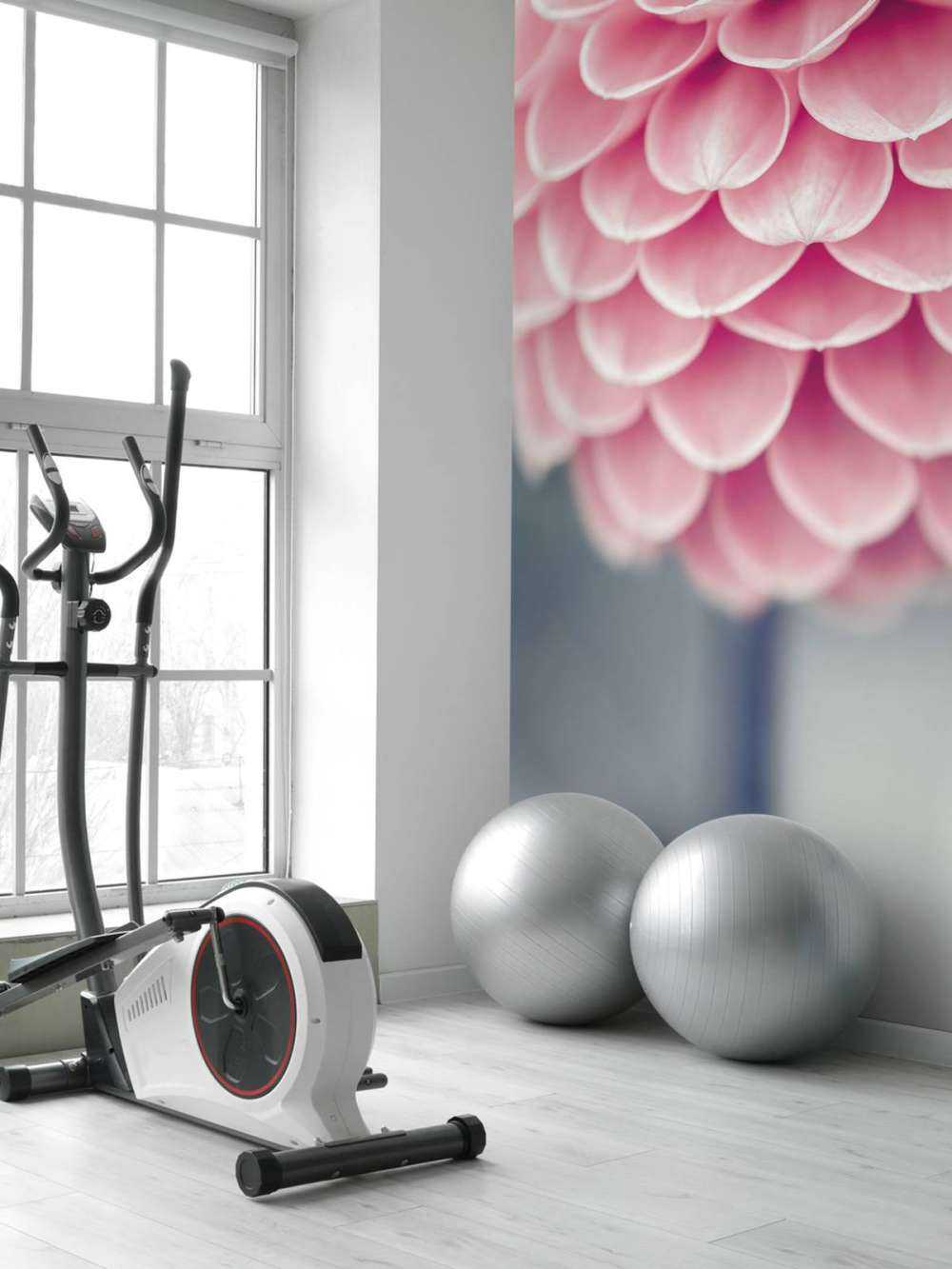 Primo piano di una dalia