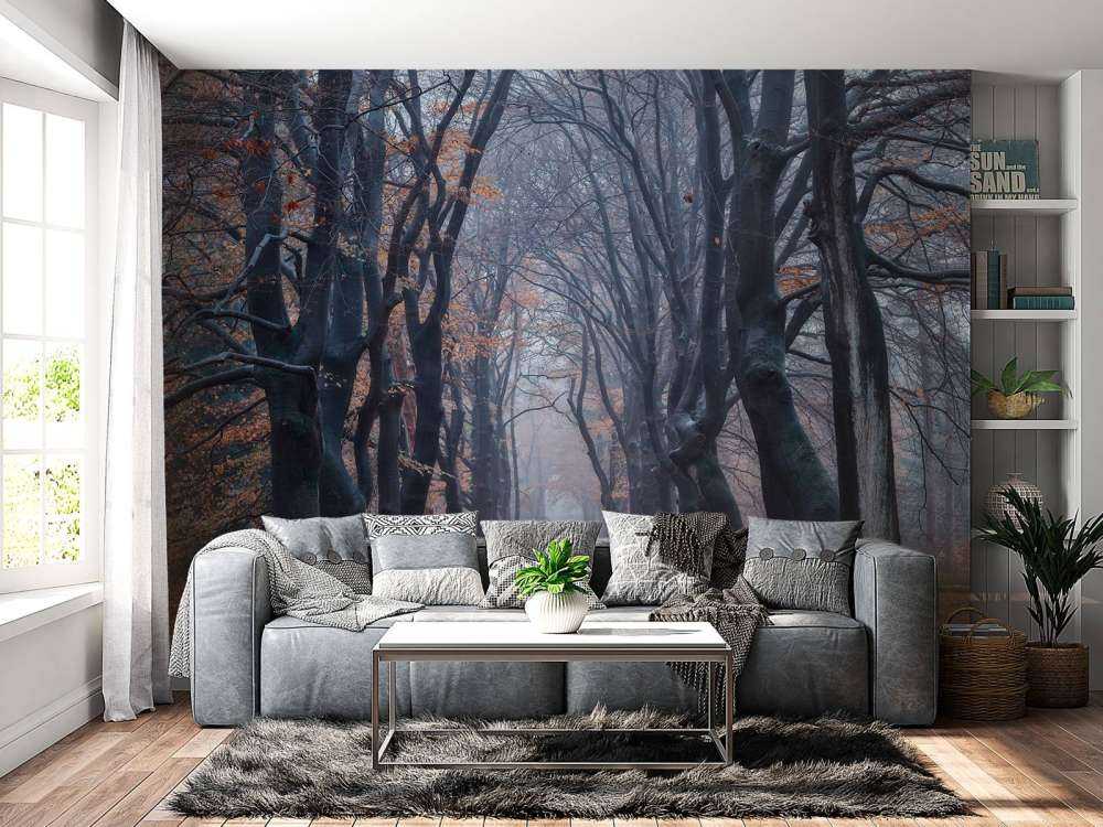 Sentiero forestale con foglie