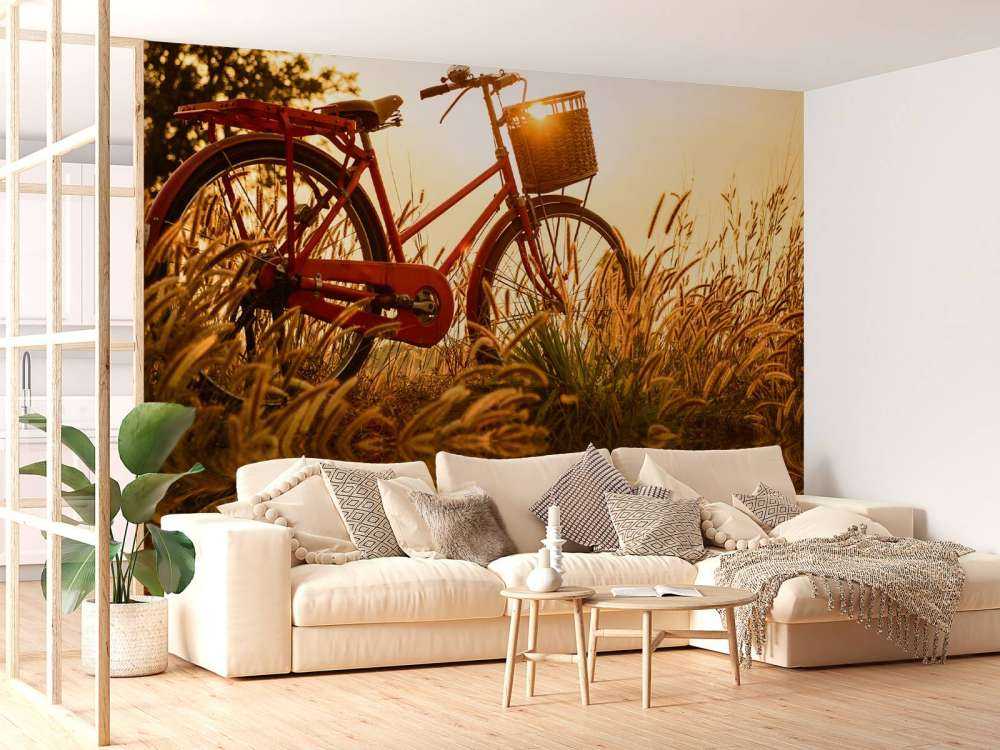 Bicicletta al tramonto