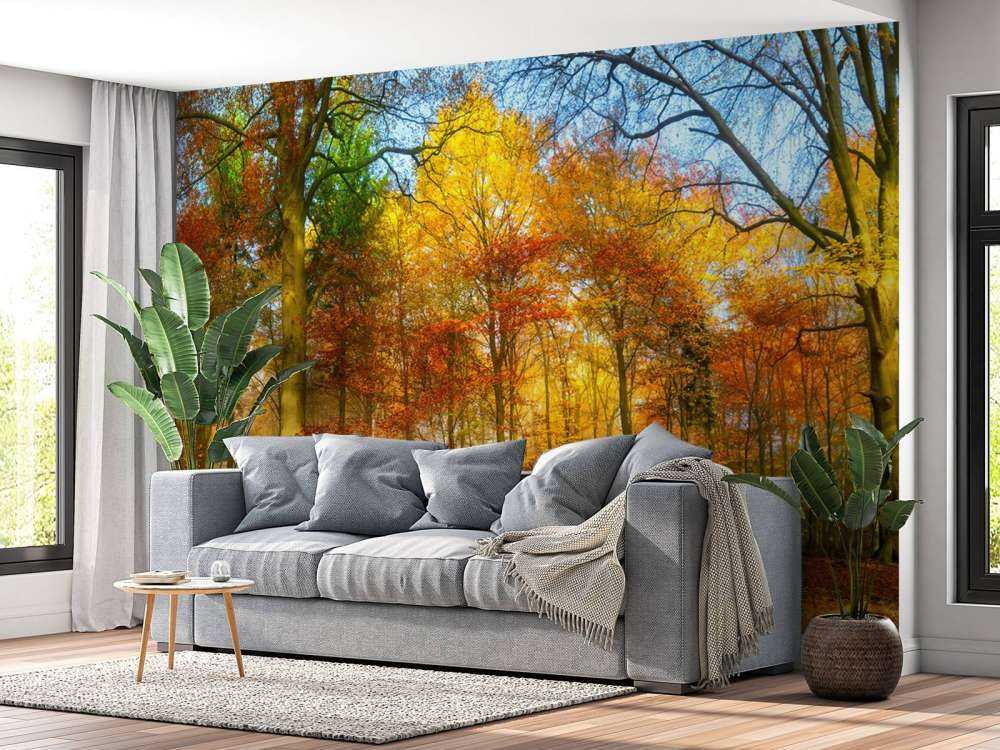 Panorama della foresta colorata