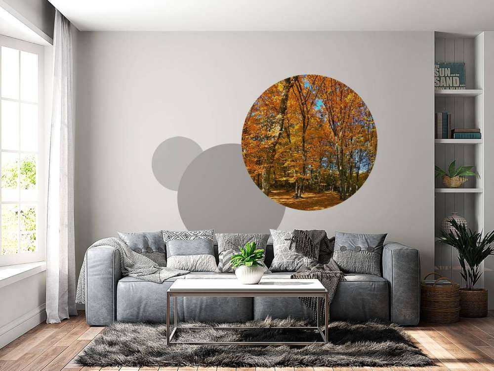 Autunno nella foresta