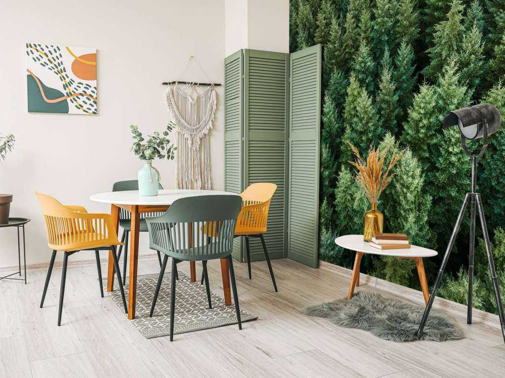 Abeti di Douglas dall'alto