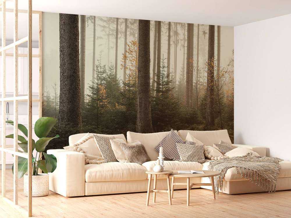 La foresta di Kaufunger