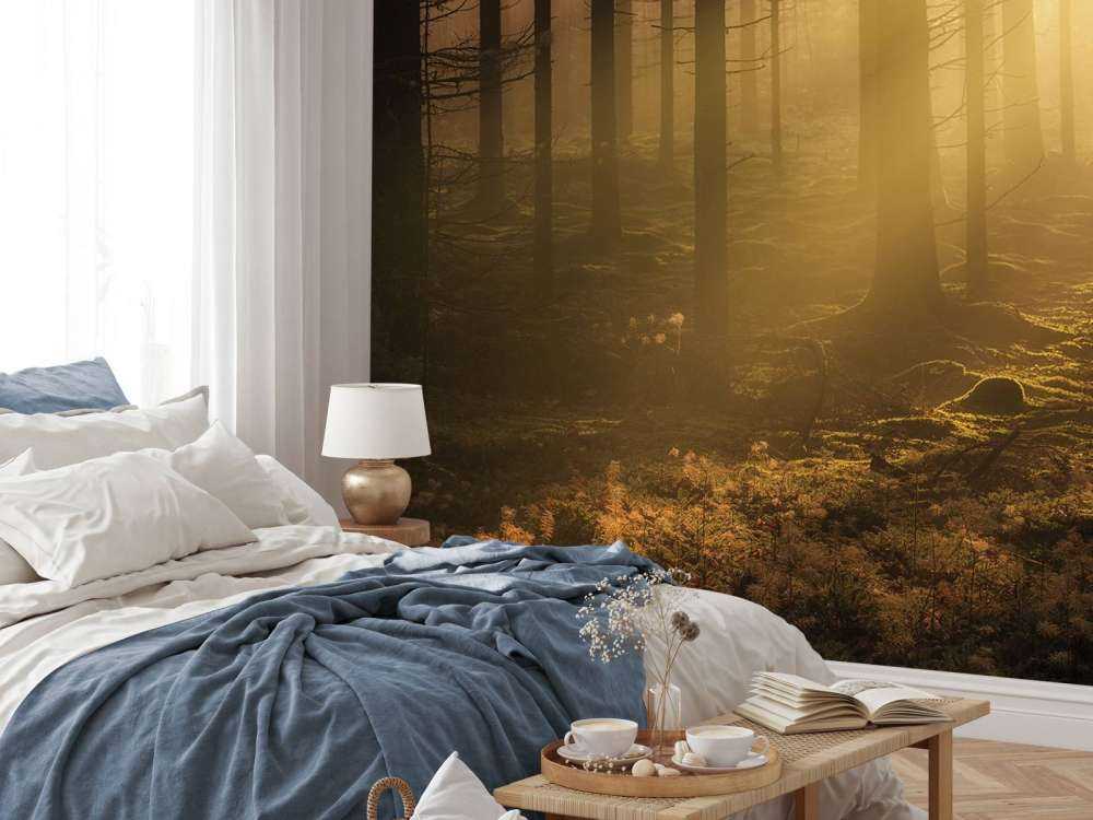 Scuro bosco autunnale