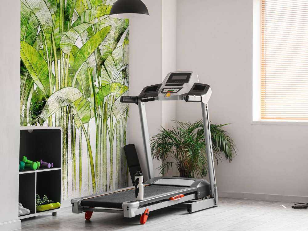 Grandes hojas de palmera dibujadas