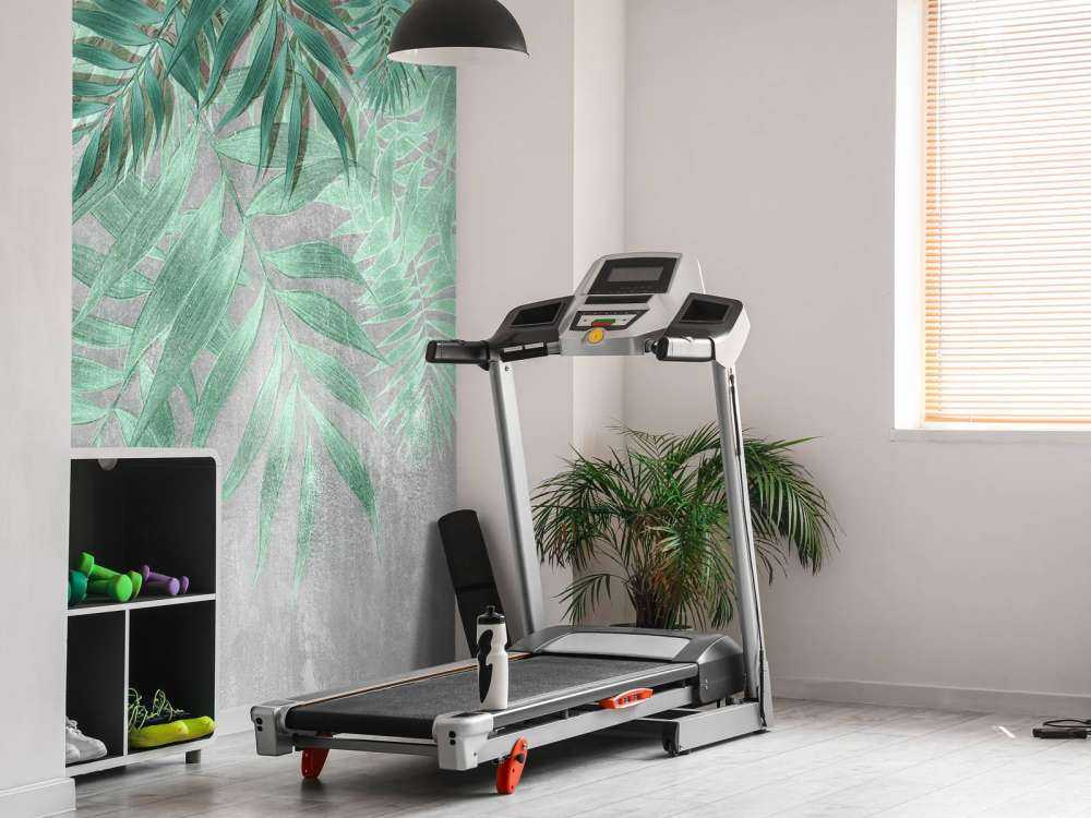 Hojas de palmera verdes con muro de hormigón gris