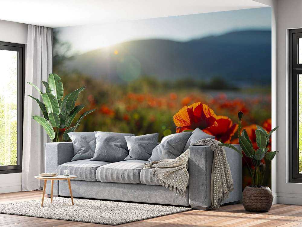 Papaveri con raggi di sole