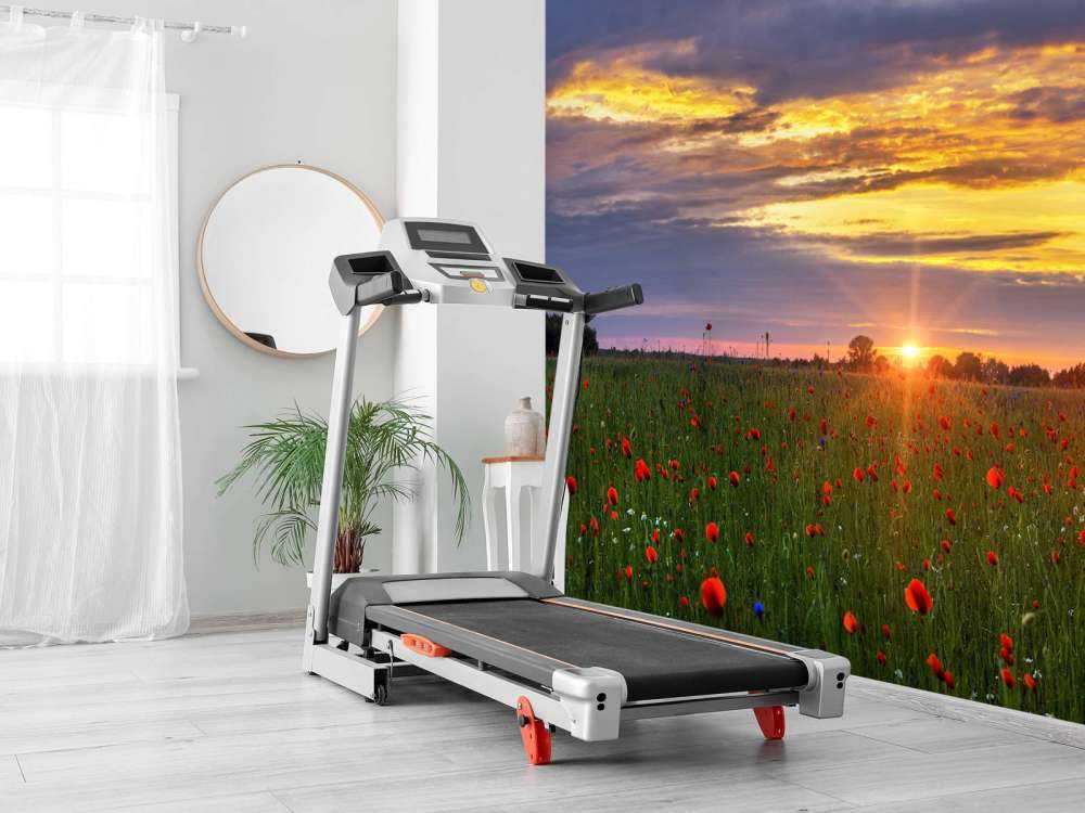 Paesaggio di papaveri