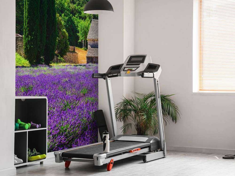 Campo di lavanda fata