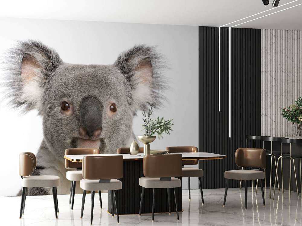 Foto di un koala