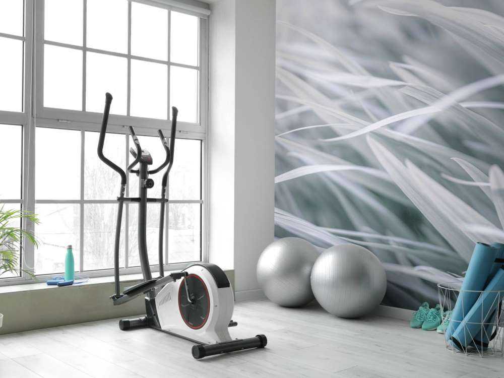 Fili d'erba ravvicinati