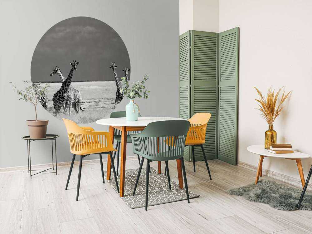 Look Girl Strange Animals