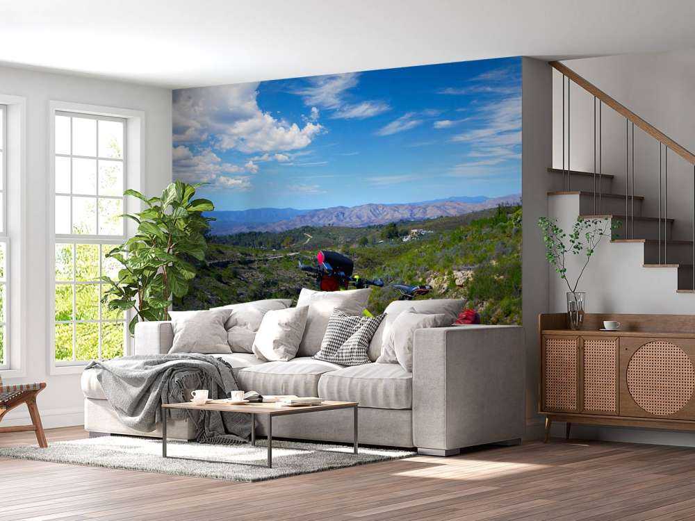 In bicicletta a Valencia