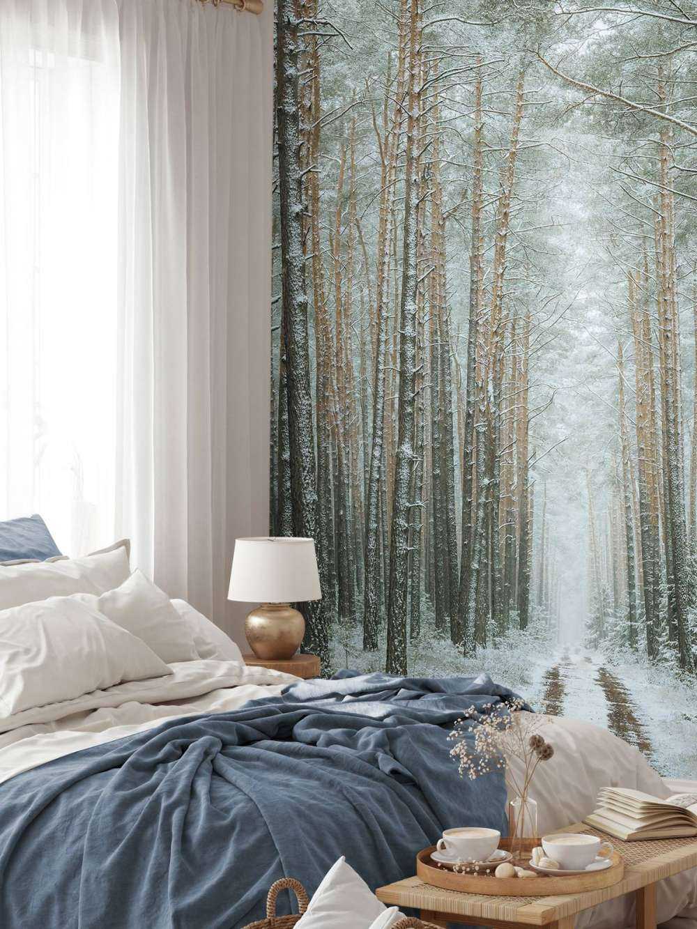 The winter forest road