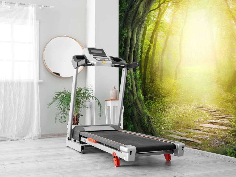 Sentiero di pietra nella foresta