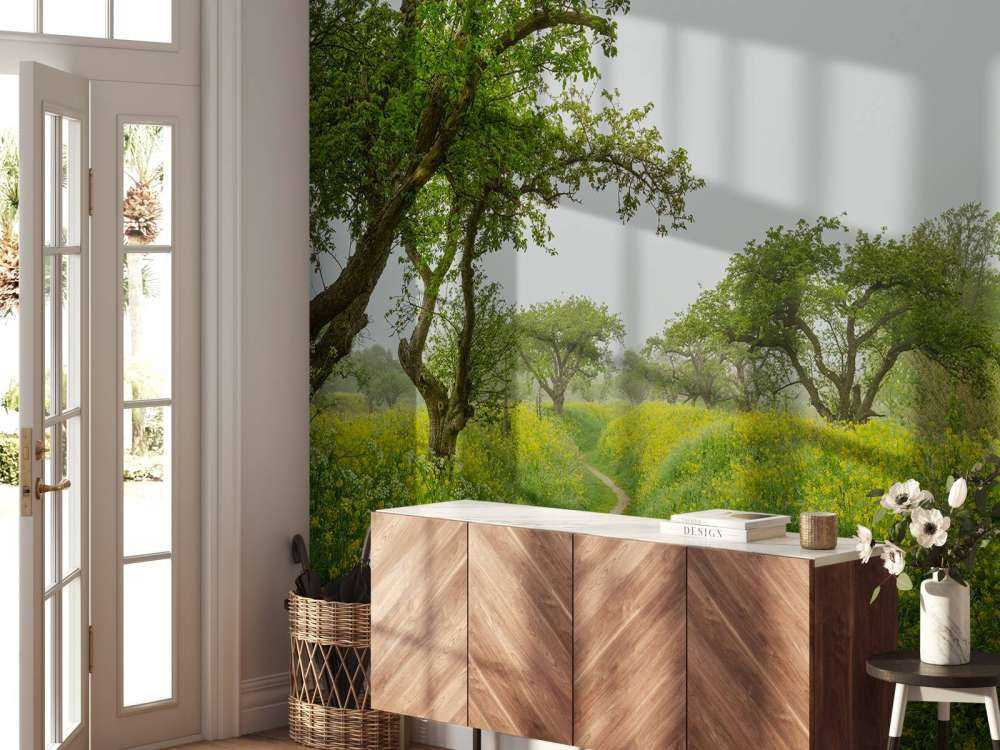 Sentiero attraverso colline con fiori gialli