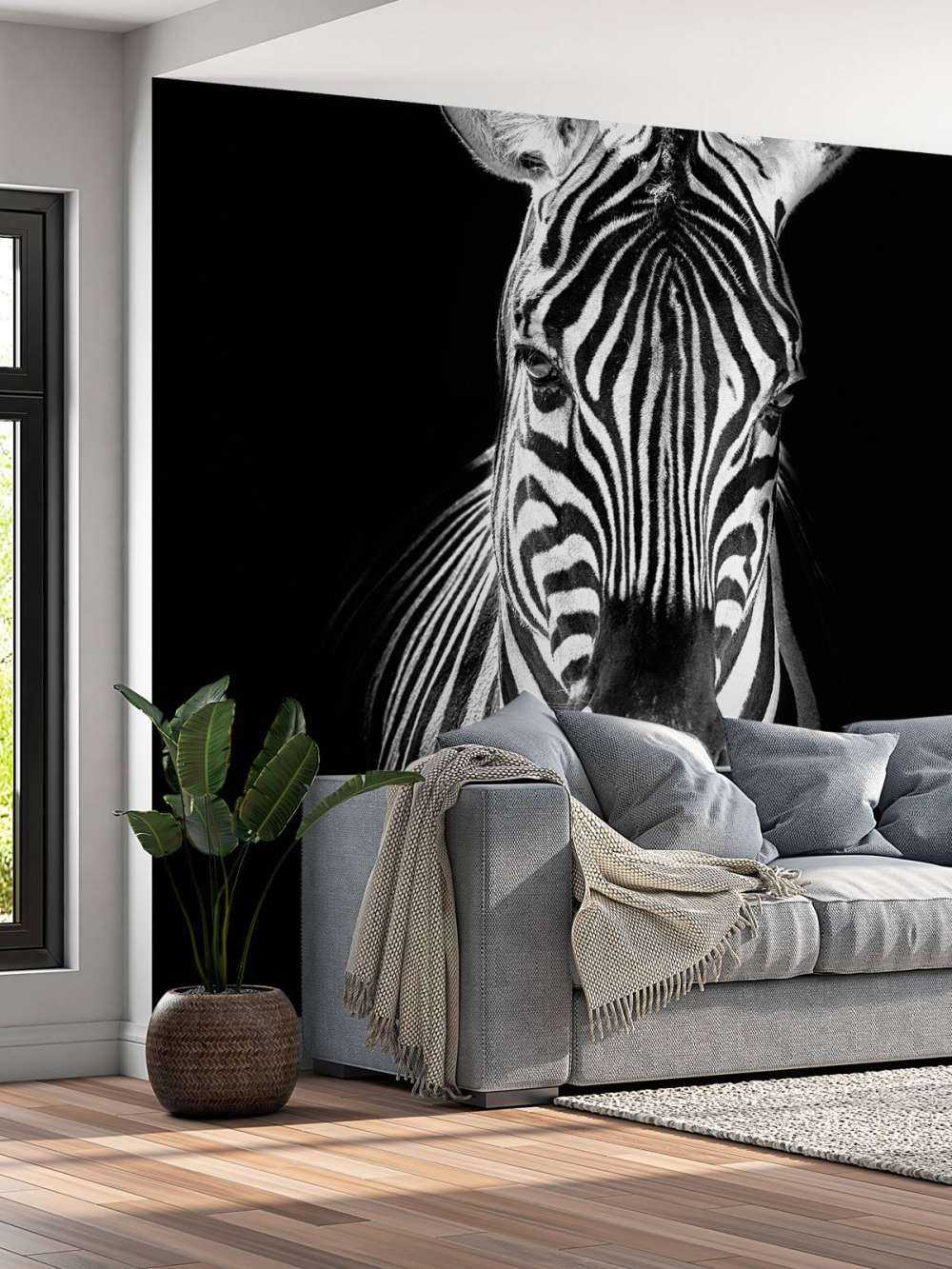 Close-up zebra in bianco e nero