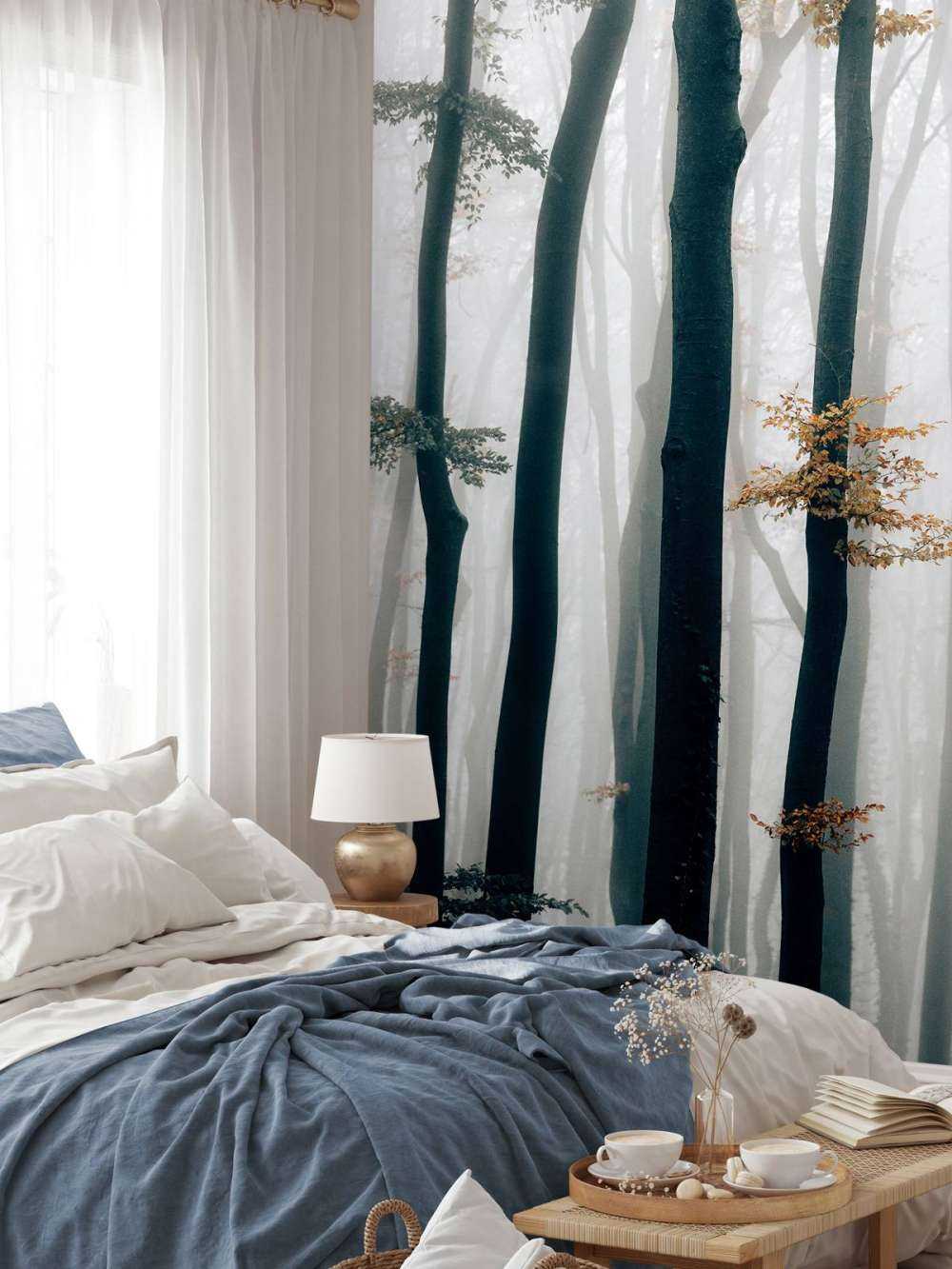 Nebbia nella foresta di faggi