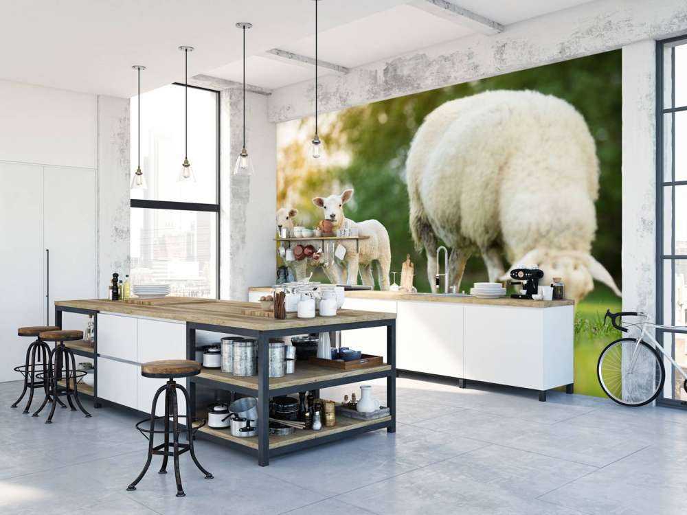 Madre pecora con agnelli