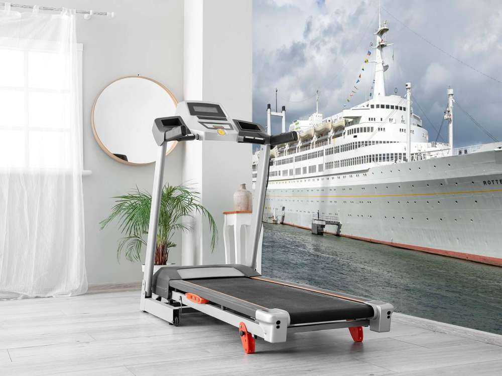 Gigante oceanico elegante nel porto