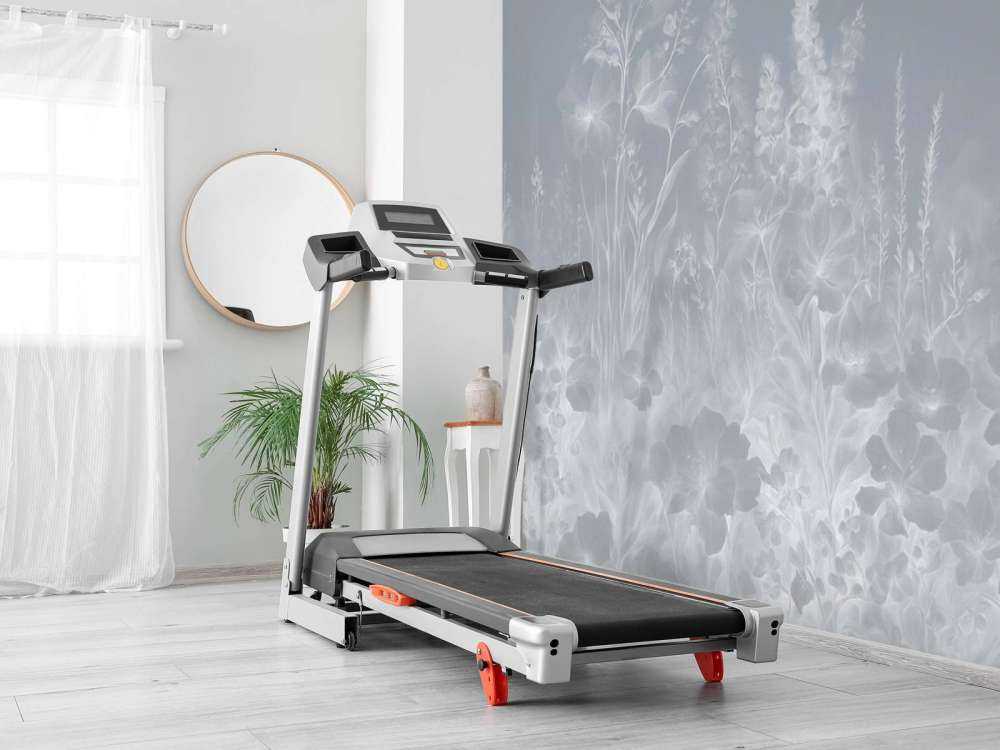 Giardino inglese tenero - grigio