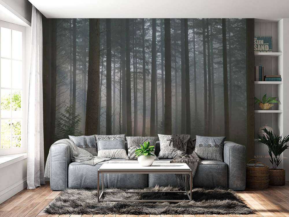 Nebbia verde foresta