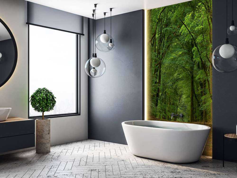 Strada nella foresta