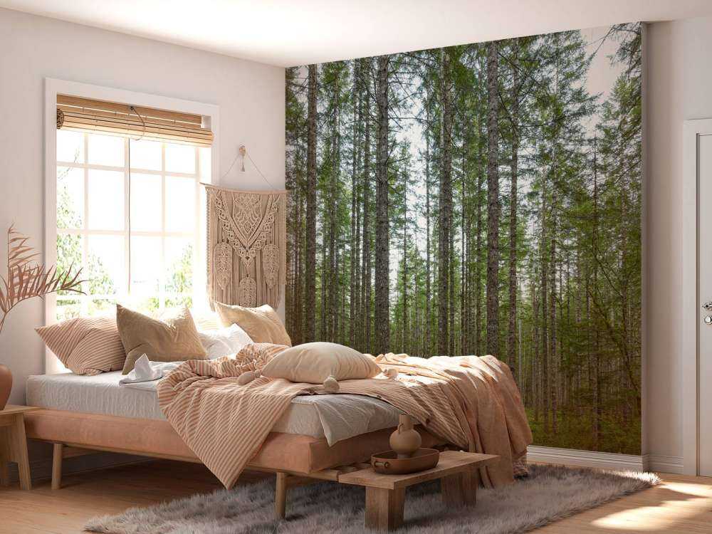 Alti alberi dritti