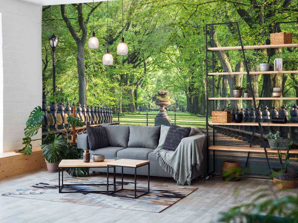 Sentiero a Central Park