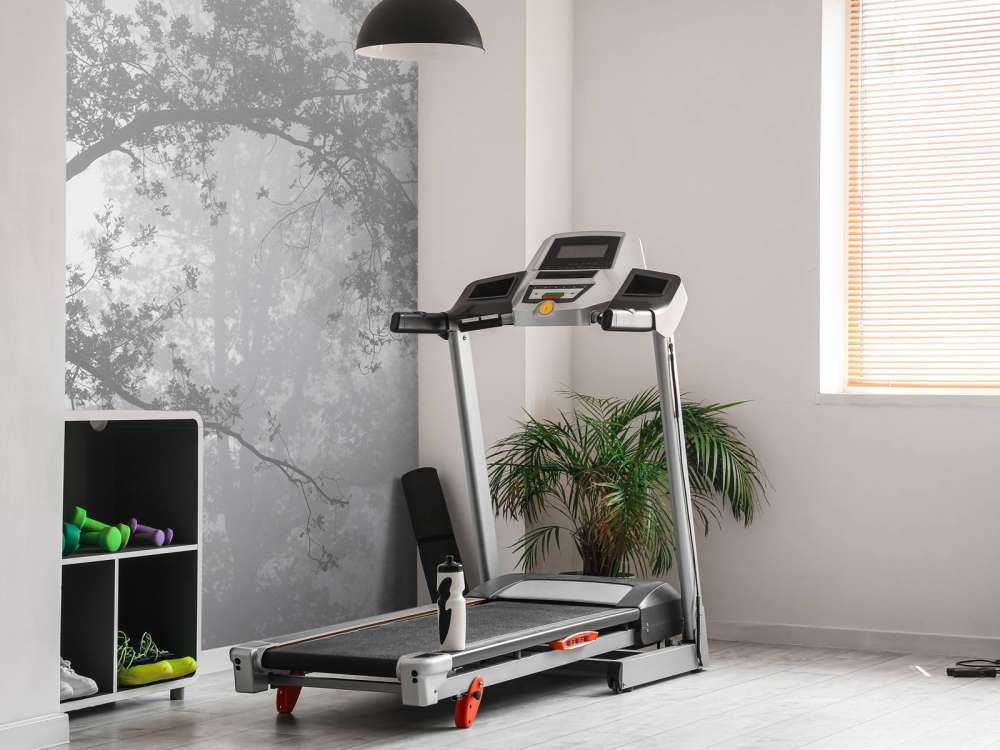 Una bella foresta nella nebbia