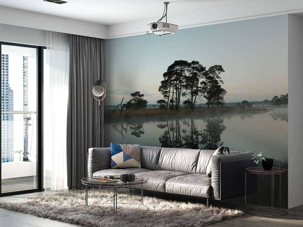 Alberi lungo i boschi