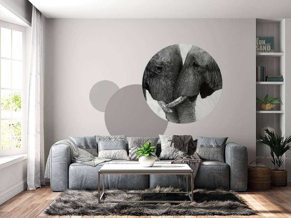 Foto carta da parati elefanti