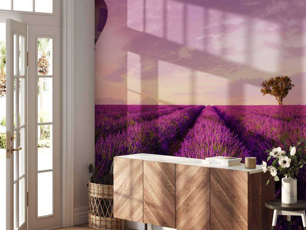 Campo di lavanda e mongolfiera