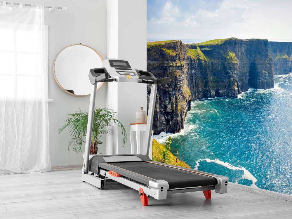 Scogliera lungo la costa