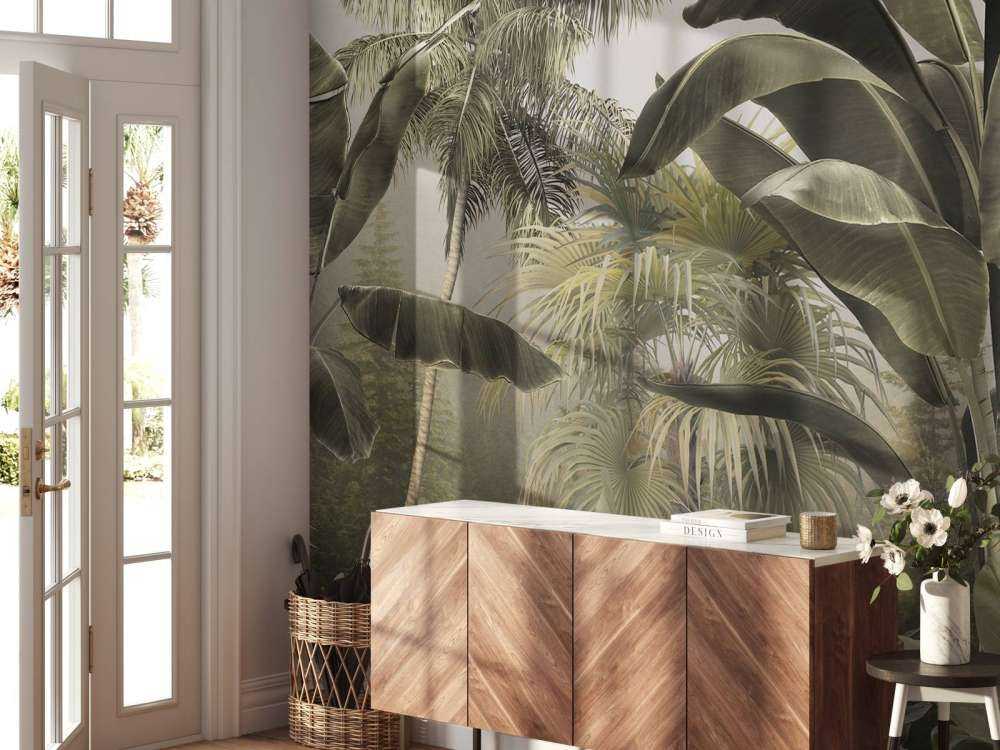 Bosco Tropicale Nebbioso