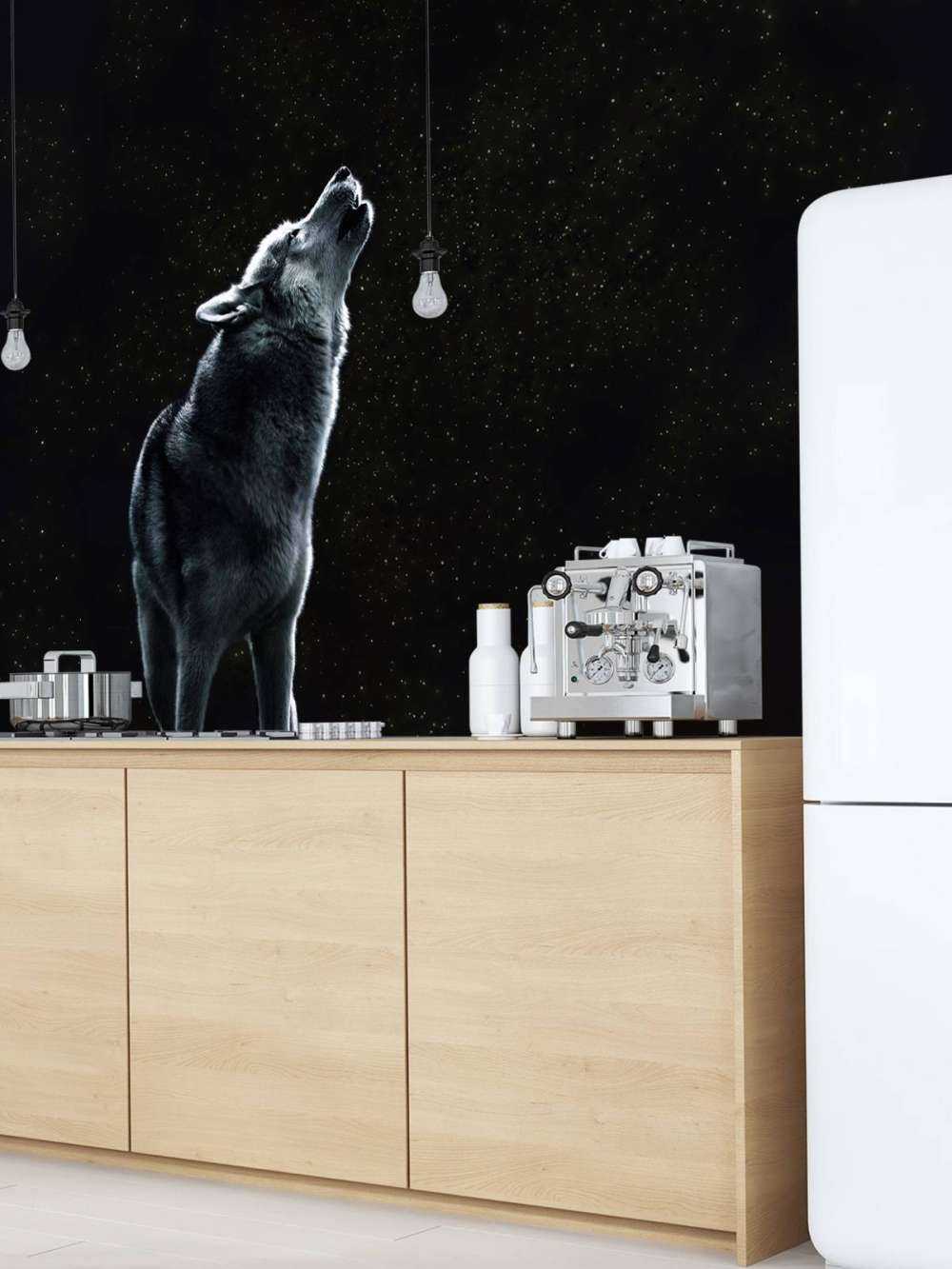 Chiamata della Luna Sentinella Solitaria