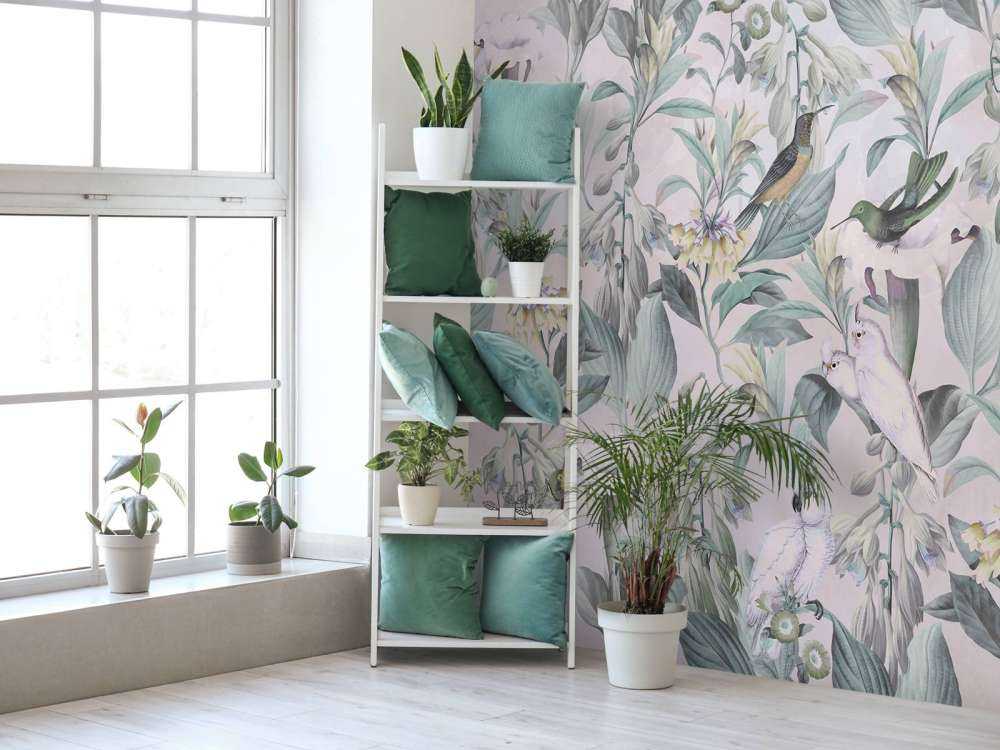 Canto degli uccelli eterei - Eleganza attenuata