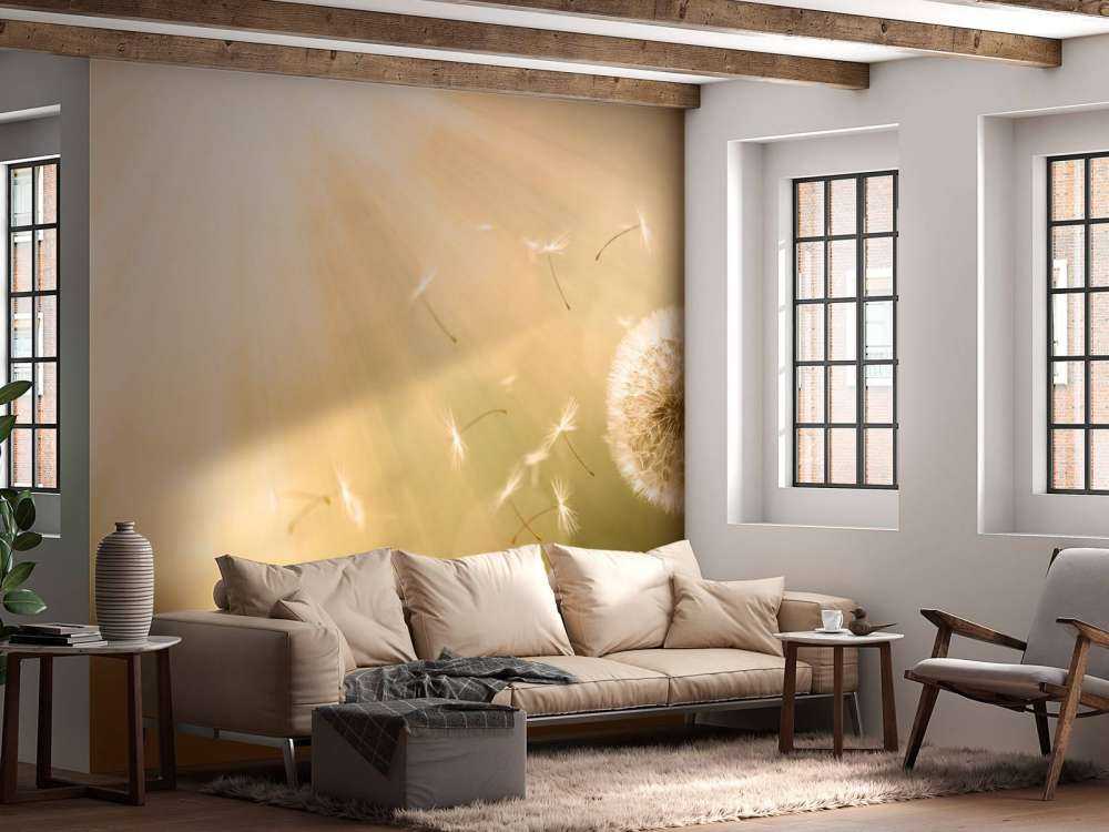 Dente di leone nel vento