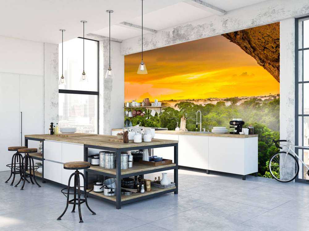 Foresta pluviale in Brasile 