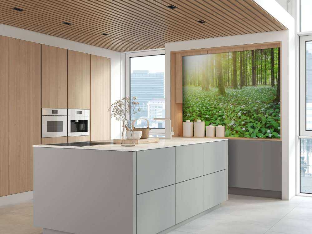 Foresta selvaggia all'alba