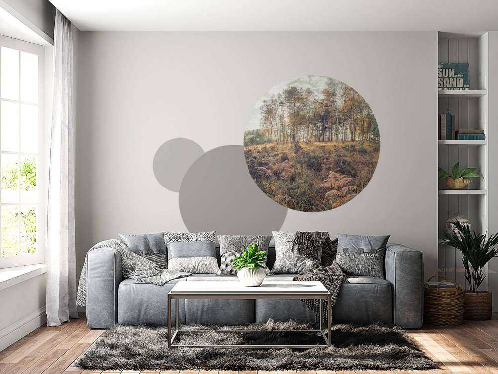 La foresta durante la mattina