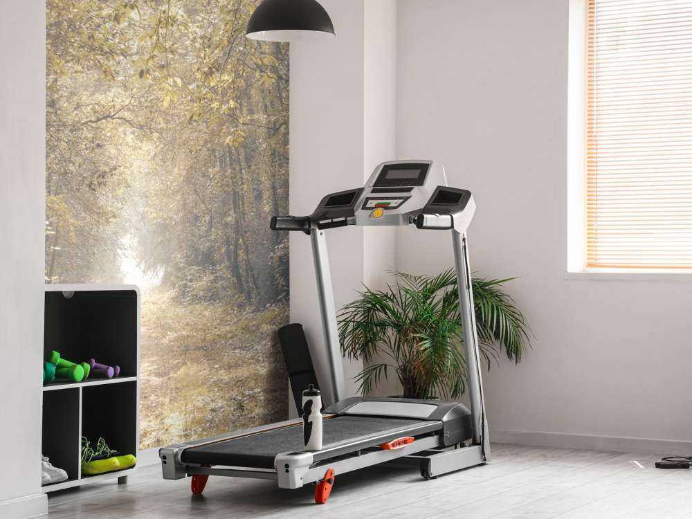 Sentiero attraverso una foresta deserta