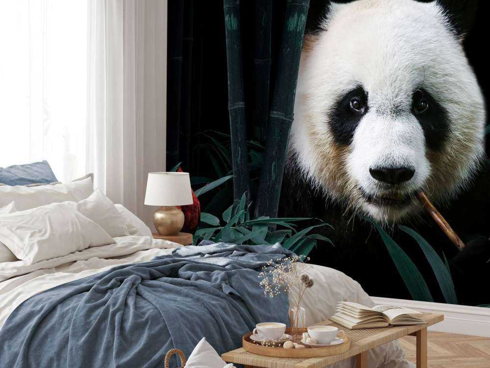 Panda nella giungla