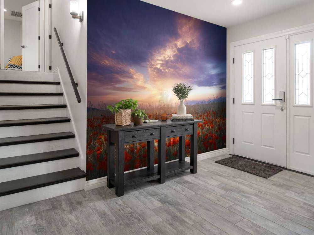 Between color and light