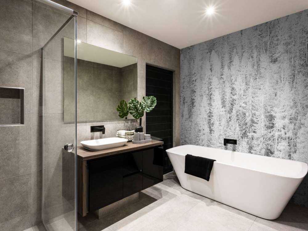 Conifere in bianco e nero