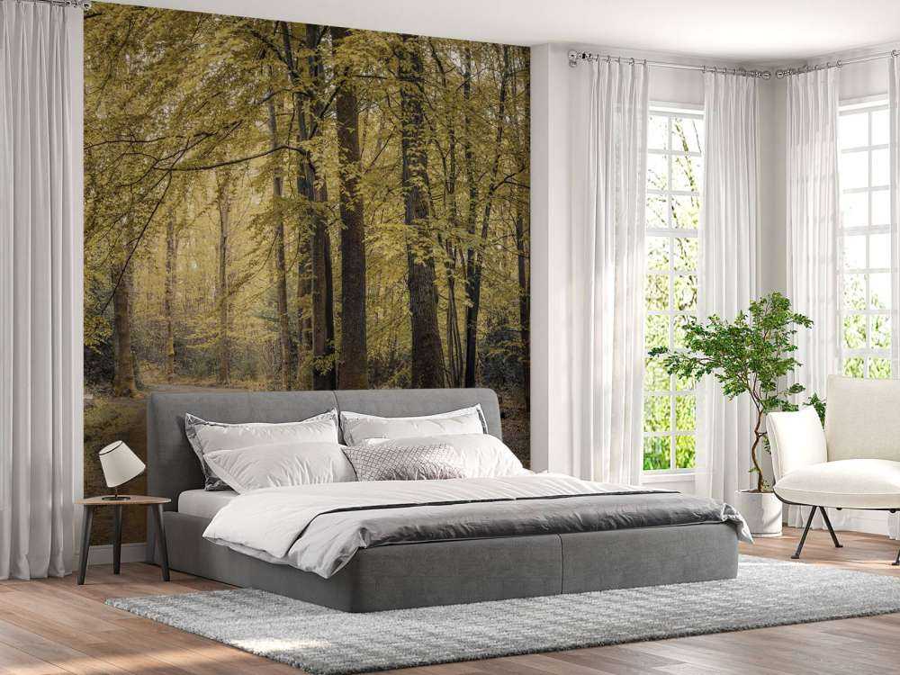 Sentiero nel verde della foresta